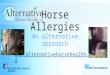 Horse allergies - an alternative approach