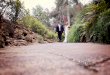Sunken Gardens Best Wedding Pictures