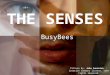 The Senses by Busy Bees