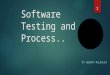 Software testing and process