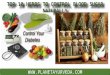 Top 10 Herbs to control blood sugar naturally
