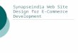 Synapseindia web site design for E Commerce development