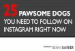 25 Pawsome Dogs by Benni Barker