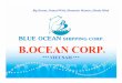 BLUE OCEAN SHIPPING CORPORATION _ Profile _ Updated Nov 2014