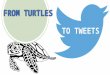 From Turtles to Tweets