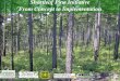 Introduction to the Shortleaf Pine Initiative