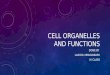 Cell the fundamental unit of life