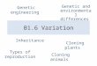 B1.6  -_variation