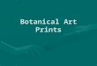 Botanical art prints
