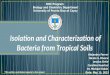 Presentation: Isolation and Characterization of Bacteria from Tropical Soils