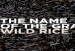 Vol 12 The Name of the Grain