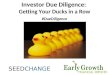 Investor Due Diligence: Getting Your Ducks in a Row