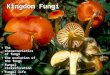 Intro to fungi_presentation