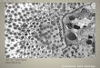 17.16 Cell Explorer Gut Epithelium- View 3