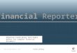 Financial Reporter Verta Systems
