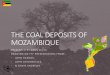 Andy Lloyd - ICVL Mozambique - The geology of the Moatize coal basins