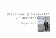 Wallander 'Firewall' (December 7th)