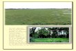 We are presenting for sale commercial land in siliguri