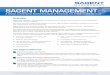 Sagent Management 3p