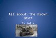 All About the Brown Bear