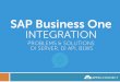 Sap business one integration problems and solutions di server di api b1ws