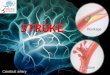 Stroke-Understanding the Basics