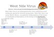 GenBank: West Nile Virus collaboration network overview