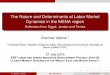 The Nature and Determinants of Labor Market Dynamics in the MENA region