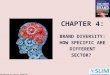 New Stretegic Brand Management - Chapter 4