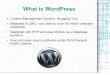 Basics of Wordpress