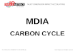 MDIA p3-04 CARBON CYCLE 150730