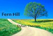 Fern hill
