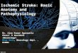 Basic Anatomy & Pathophysiology of ischemic stroke