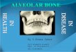 Alveolar bone in health and disease