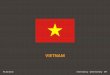 Vietnam digital overview report 2014