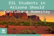 ESL Students in Arizona Should Consider a Homestay