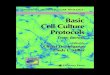 Basic Cell Culture Protocols Methods in Molecular Biology - Cheryl D. Helgason, Cindy L. Miller