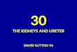 30 DAVID SUTTON PICTURES  THE KIDNEY AND URETERS