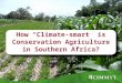 How "Climate-Smart" is Conservation Agriculture in Southern Africa?