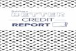 FREE BOOK 208 :: Building a Better Credit Report