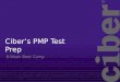 1.0 Class One - CIBER's PMP Boot Camp Presentation