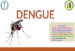 Dengue Casa Abierta (1)