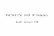 D. Snyder - Diseases & Parasites Power Point