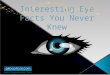 Human Eye Facts Which You Never Know Before