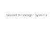 Second Messenger SystemsMod