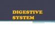 Ch. 5 - Digestive System.pdf
