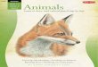 Animals in Colored Pencil Drawing Learn to Draw Step by Step