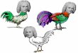 Bach Bach Chickens