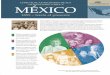 Sud Copia de Como Buscar Registros en Mexico