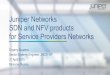 Ebugakov Juniper Nfv in Sp Networks 21042015 Ver2